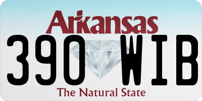 AR license plate 390WIB