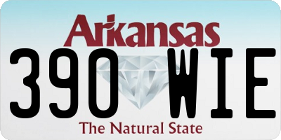 AR license plate 390WIE