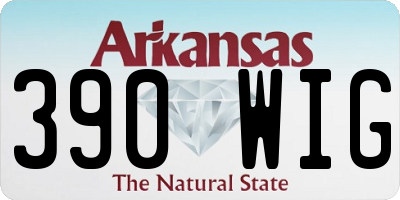 AR license plate 390WIG