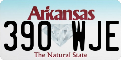 AR license plate 390WJE