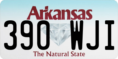 AR license plate 390WJI