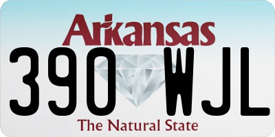 AR license plate 390WJL