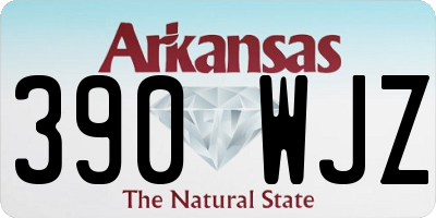 AR license plate 390WJZ