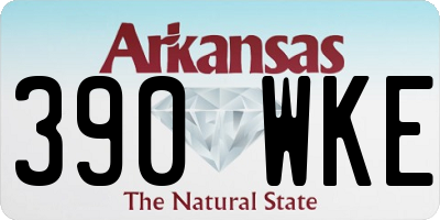 AR license plate 390WKE