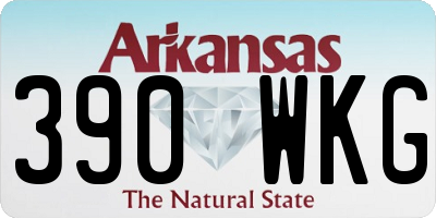 AR license plate 390WKG