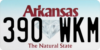 AR license plate 390WKM