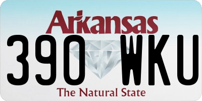 AR license plate 390WKU