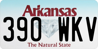 AR license plate 390WKV