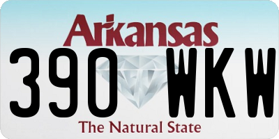AR license plate 390WKW