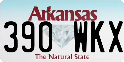 AR license plate 390WKX