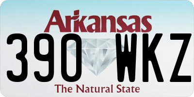 AR license plate 390WKZ