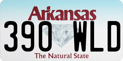 AR license plate 390WLD