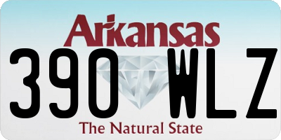 AR license plate 390WLZ