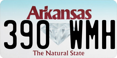 AR license plate 390WMH