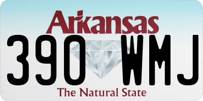 AR license plate 390WMJ