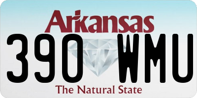 AR license plate 390WMU