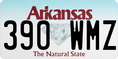 AR license plate 390WMZ