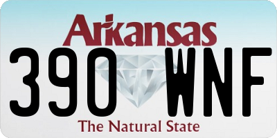 AR license plate 390WNF