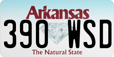 AR license plate 390WSD