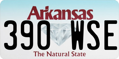 AR license plate 390WSE