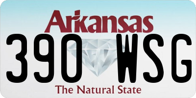 AR license plate 390WSG