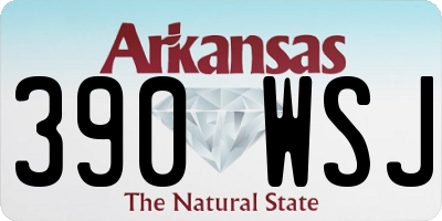 AR license plate 390WSJ