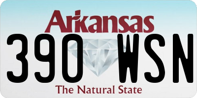 AR license plate 390WSN