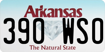 AR license plate 390WSO