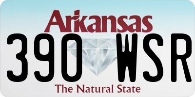 AR license plate 390WSR