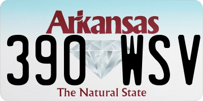 AR license plate 390WSV