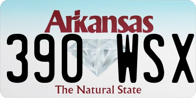 AR license plate 390WSX