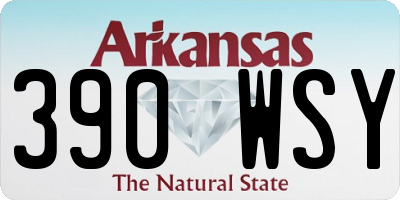 AR license plate 390WSY