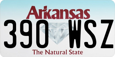 AR license plate 390WSZ