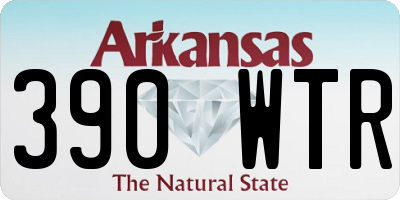 AR license plate 390WTR