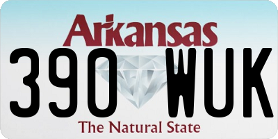 AR license plate 390WUK