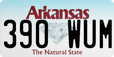 AR license plate 390WUM