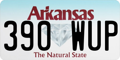 AR license plate 390WUP