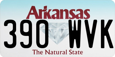 AR license plate 390WVK