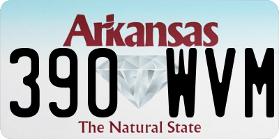 AR license plate 390WVM