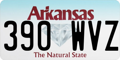 AR license plate 390WVZ