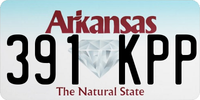 AR license plate 391KPP