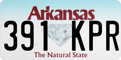 AR license plate 391KPR