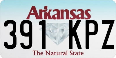 AR license plate 391KPZ