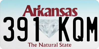AR license plate 391KQM