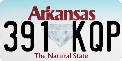 AR license plate 391KQP