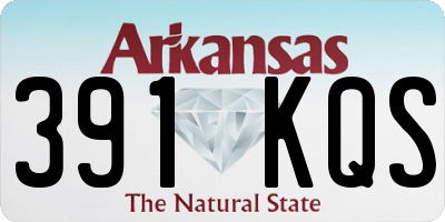 AR license plate 391KQS
