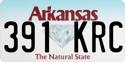 AR license plate 391KRC