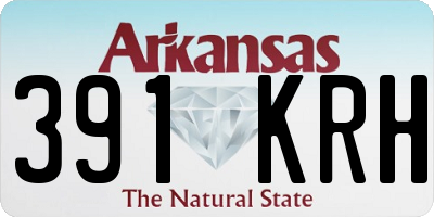 AR license plate 391KRH