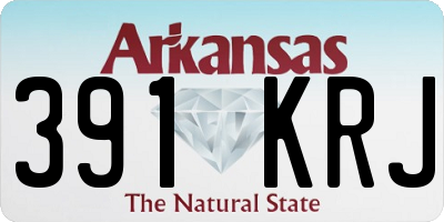 AR license plate 391KRJ