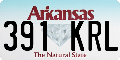 AR license plate 391KRL